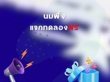 นมผึ้ง แจกทดลองฟรี รวมกิจกรรม แจกฟรี ของฟรี รับฟรี บริการฟรี