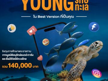 ประกวด แข่งขัน ชิงโชค ชิงรางวัล แจกรางวัล ของรางวัล ลุ้นรางวัล 2568