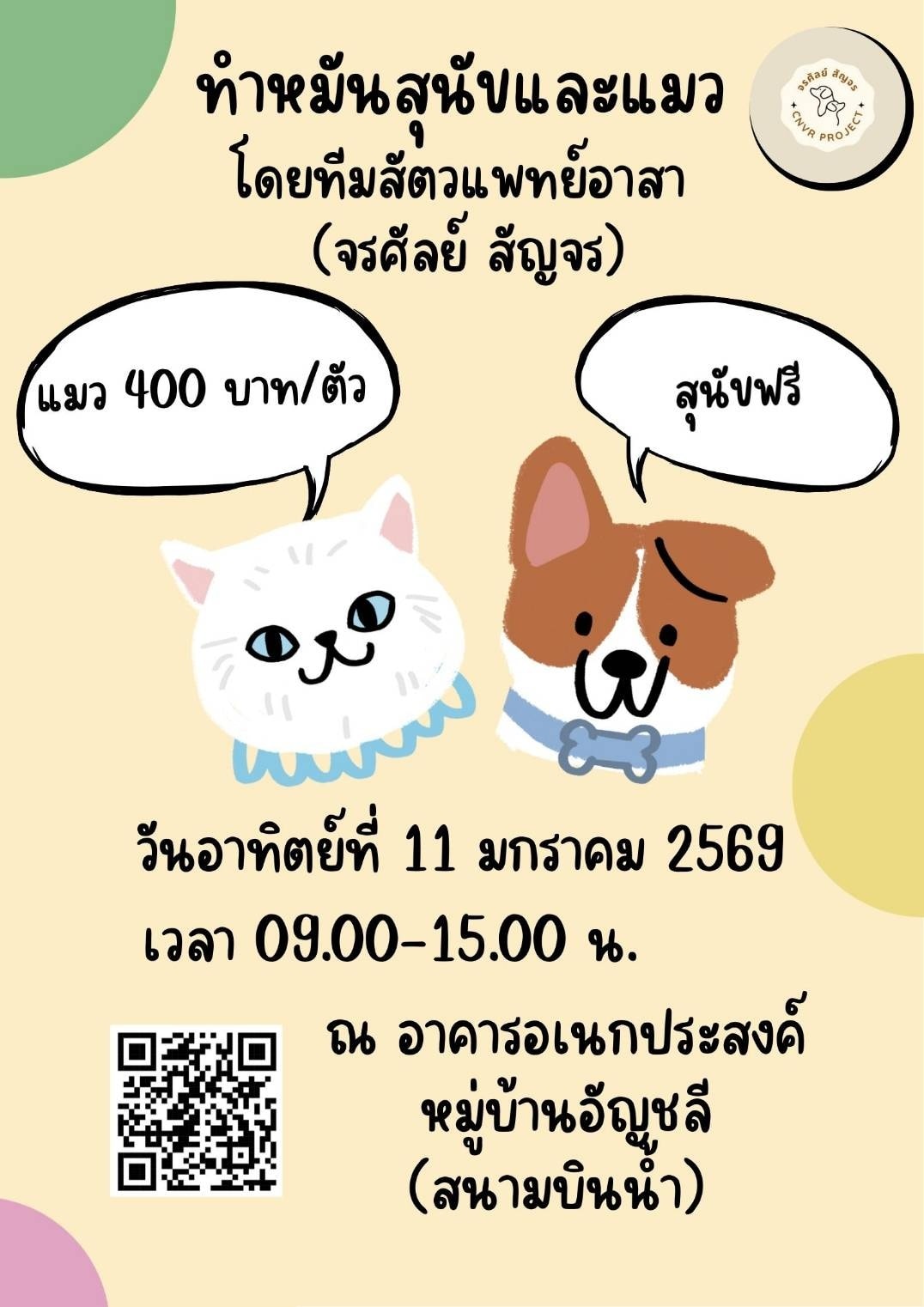 เขตเทศบาลนครนนทบุรี เชิญชวนทำหมันสุนัขฟรี