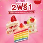 โปรโมชันสุดคุ้มBuy 2 Get 1 FREE