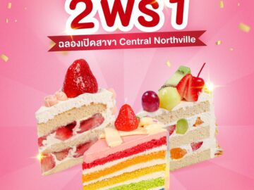 โปรโมชันสุดคุ้มBuy 2 Get 1 FREE